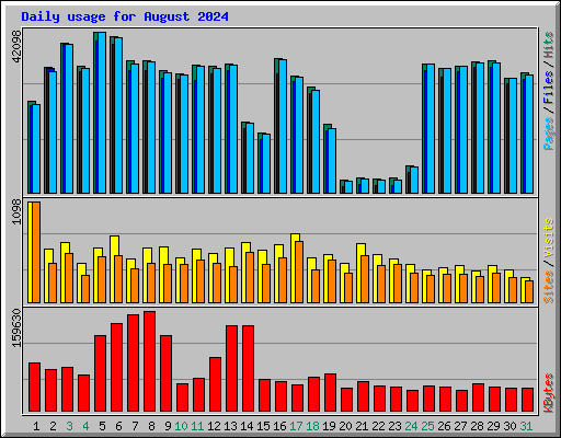 Daily usage for August 2024