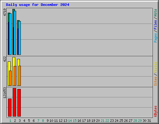 Daily usage for December 2024