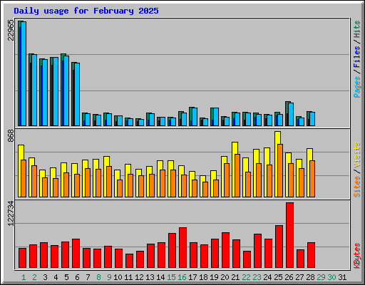 Daily usage for February 2025