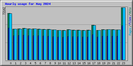 Hourly usage for May 2024