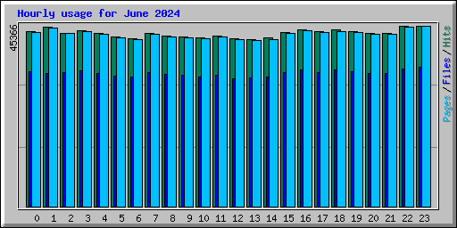 Hourly usage for June 2024