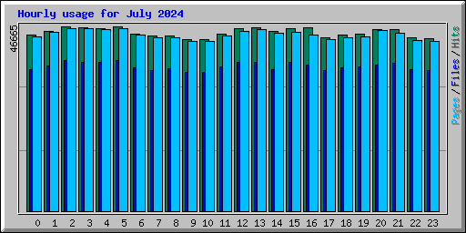 Hourly usage for July 2024