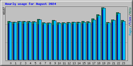 Hourly usage for August 2024