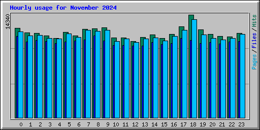 Hourly usage for November 2024