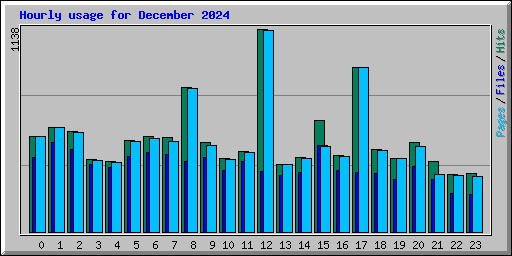 Hourly usage for December 2024