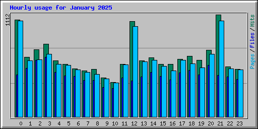 Hourly usage for January 2025