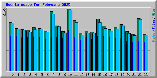 Hourly usage for February 2025