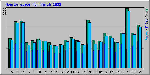 Hourly usage for March 2025